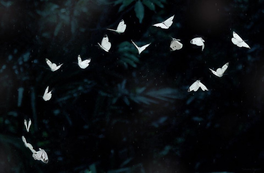  속으로 비웃었을까 | 인스티즈