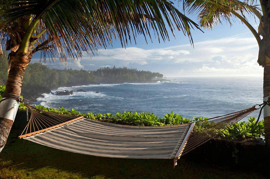 다들신혼여행갈때 하와이 하와이 하는이유 | 인스티즈