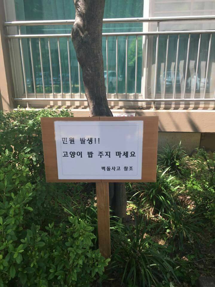 방배동 모 아파트 캣맘&캣대디 경고문 | 인스티즈