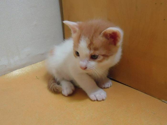 우열을 가릴수 없는 난제.jpg | 인스티즈