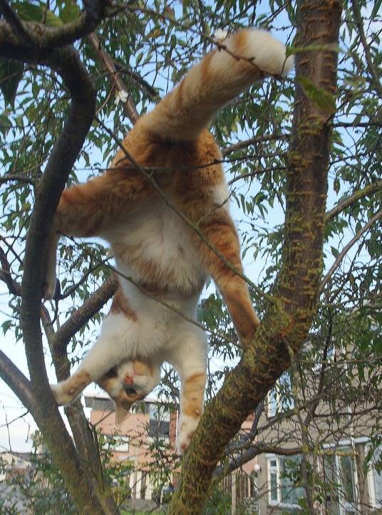 그러고 있으면 머리에 피 안쏠리냥 | 인스티즈