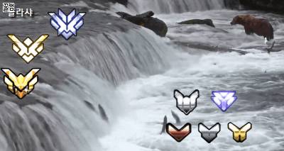 [오버워치] 시즌 3 배치고사 요약 | 인스티즈