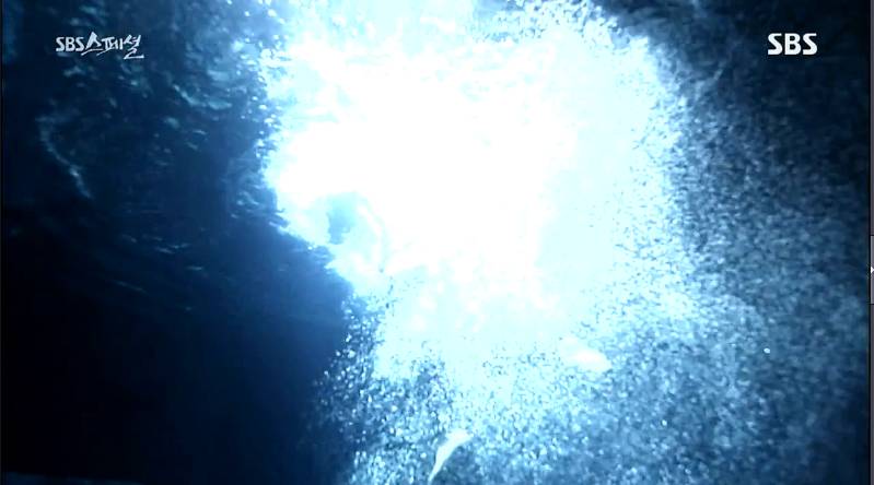 세월호 마지막으로 구조된 학생의 사연 | 인스티즈