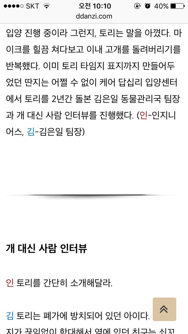 이너뷰] 문재인 정부의 막강 권력 : 퍼스트 독 토리 긴급 인터뷰 | 인스티즈