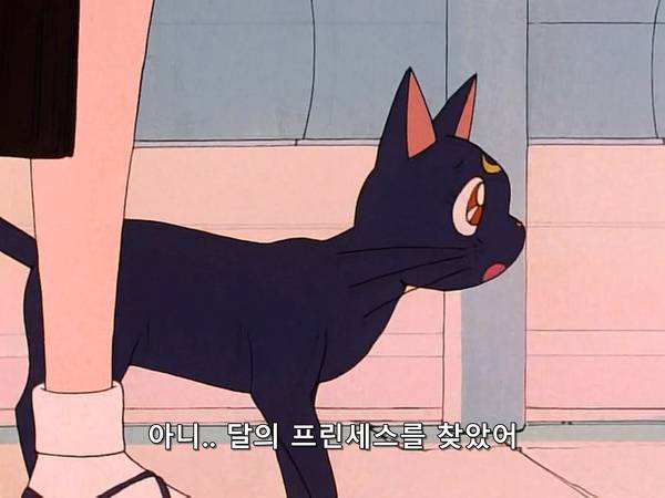 미소녀 전사 세일러문 (美少女戦士セーラームーン) 05 | 인스티즈