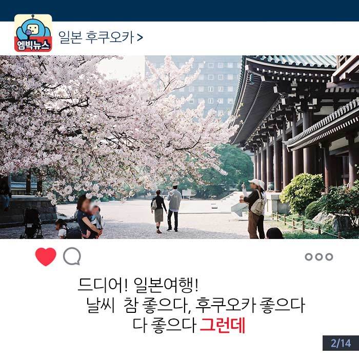 후쿠오카에 그 칼이 있다네 | 인스티즈