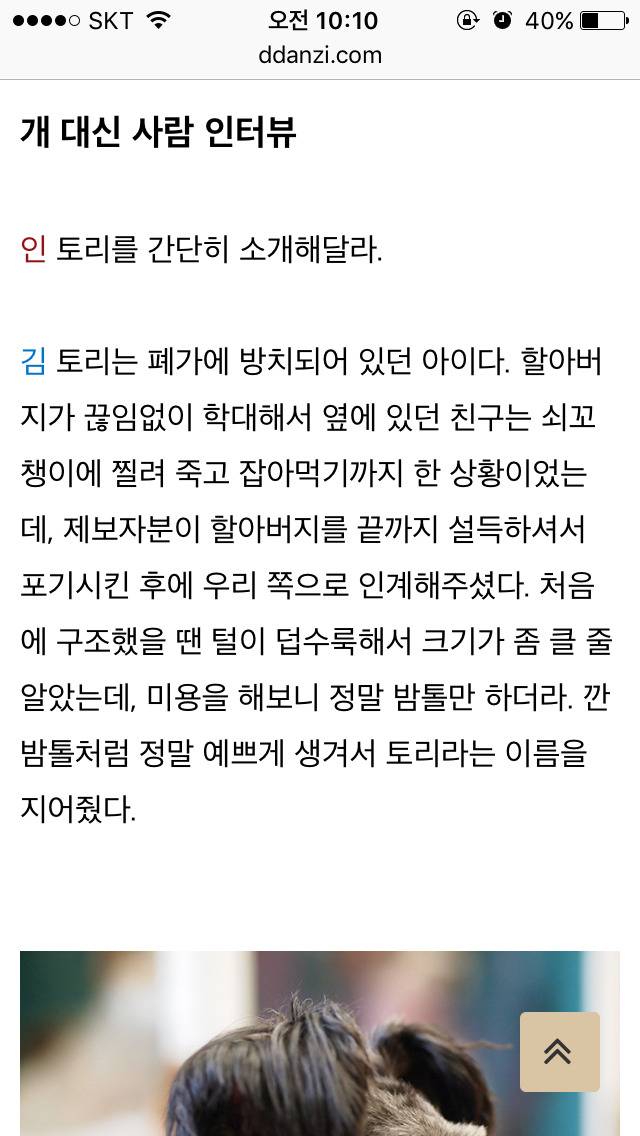 이너뷰] 문재인 정부의 막강 권력 : 퍼스트 독 토리 긴급 인터뷰 | 인스티즈