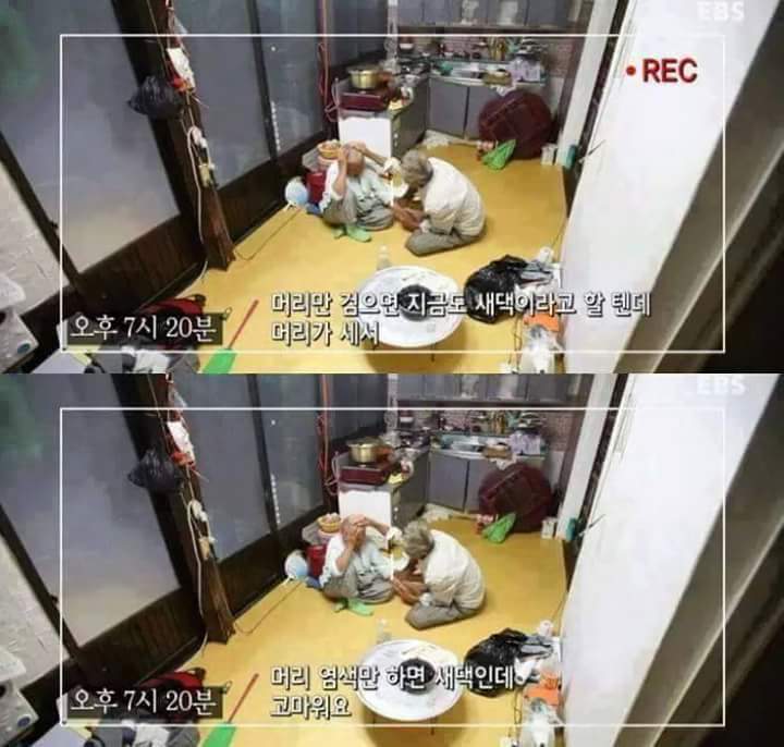 한 날 저녁에 같이 가요 | 인스티즈