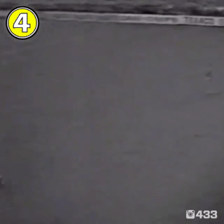 퍼스트터치 개 구리네...gif | 인스티즈