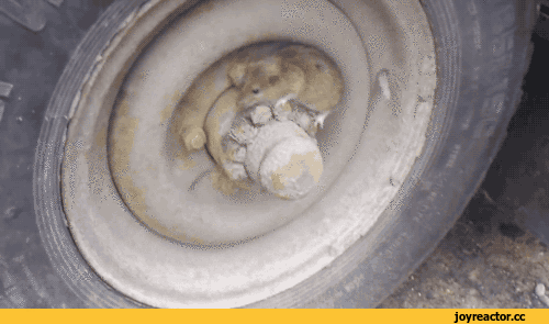 이상하다... 분명 이근처에있는데.gif | 인스티즈