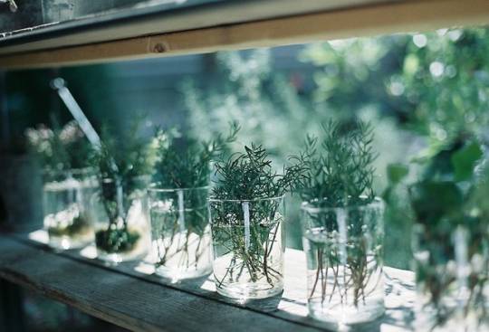  솔직히 좀 그래 | 인스티즈