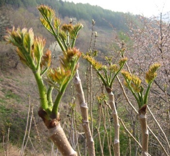 군대 행정보급관들이 가장 좋아하는 것 | 인스티즈