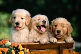 우열을 가릴수 없는 난제.jpg | 인스티즈