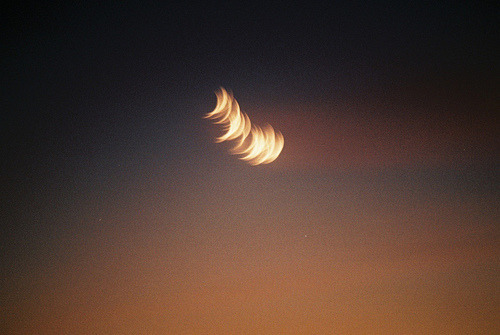 꿈의 페달을 밟고 너에게 갈 수 있다면 시시한 별들의 유혹은 뿌리쳐도 좋았다 | 인스티즈