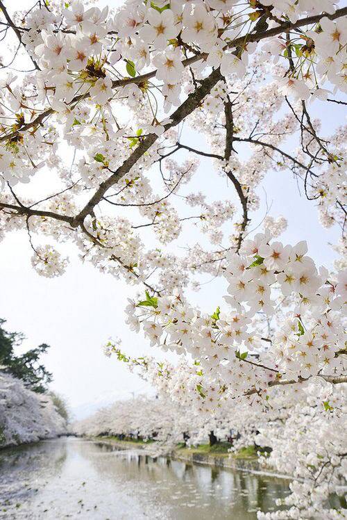 가장 좋아하는 계절은? | 인스티즈