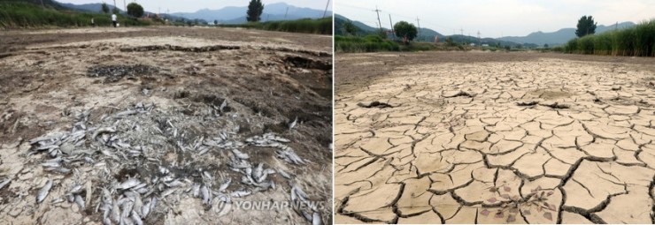 이니 하고 싶은거 다해~ 6.20(화) | 인스티즈