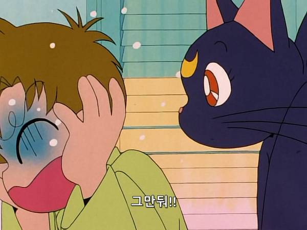 미소녀 전사 세일러문 (美少女戦士セーラームーン) 05 | 인스티즈