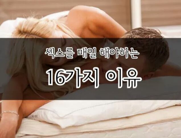 섹스를 매일해야하는 16가지 이유 | 인스티즈