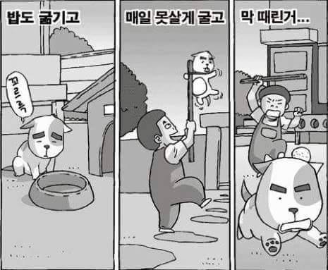 뽀돌이.jpg | 인스티즈