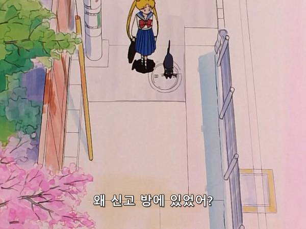 미소녀 전사 세일러문 (美少女戦士セーラームーン) 05 | 인스티즈