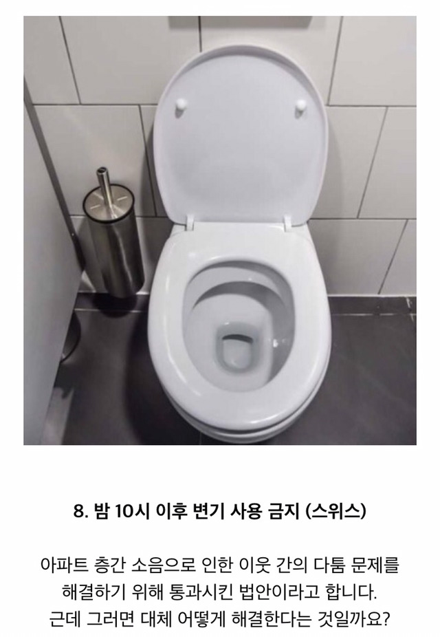 실제로 있는 각 나라의 금지법 | 인스티즈