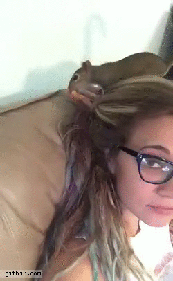 여기가 안전하겠어... | 인스티즈