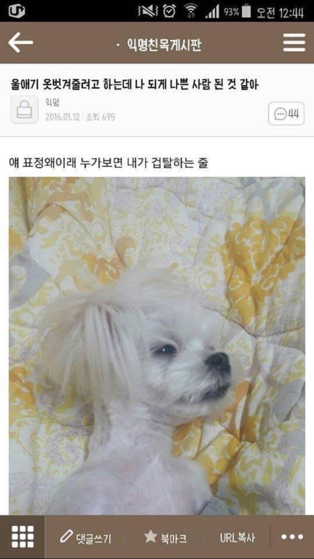 강이지 옷을 벗기려는데 나쁜사람이 된듯하다.. | 인스티즈