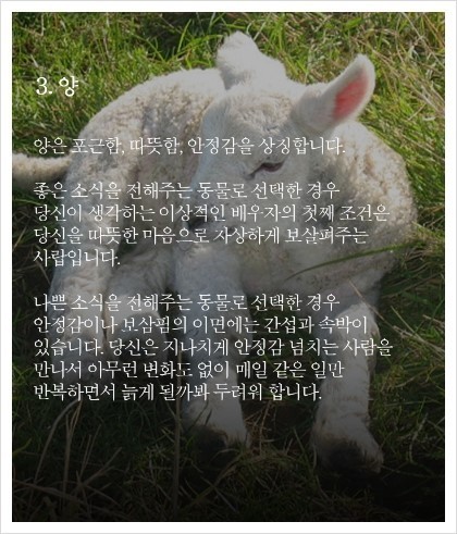 동물이 건네주는 편지로 알아보는 심리 테스트 | 인스티즈