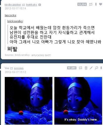 니모아빠가 니모를 찾아다닌 이유 | 인스티즈