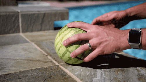 매끈한 수박의 비밀 | 인스티즈