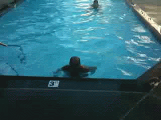 수영장에서 점프력 측정하는 방법.gif | 인스티즈