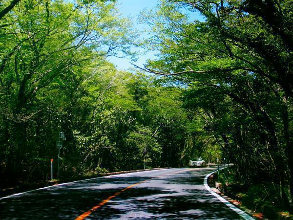 제주도에 남아 있는 5.16 군사정변의 잔재 | 인스티즈