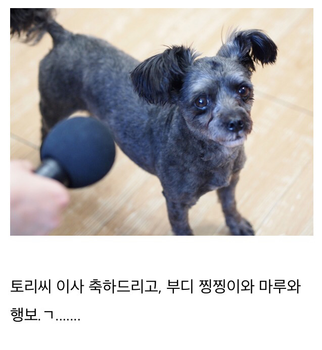 이너뷰] 문재인 정부의 막강 권력 : 퍼스트 독 토리 긴급 인터뷰 | 인스티즈