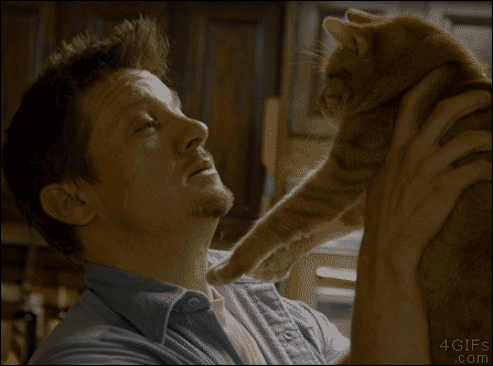 [데이터주의] 진심 무슨 생각하는지 궁금한 동물甲 - 4 | 인스티즈