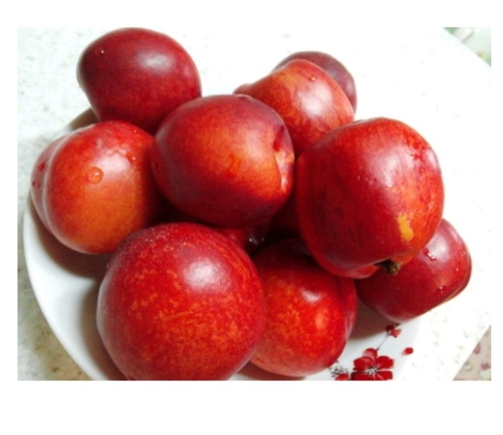 세상에서 제일 뜨거운 과일 ㄷㄷㄷ | 인스티즈