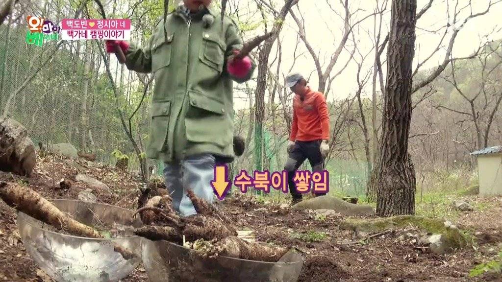 시트콤보다 재미있는 가족 | 인스티즈