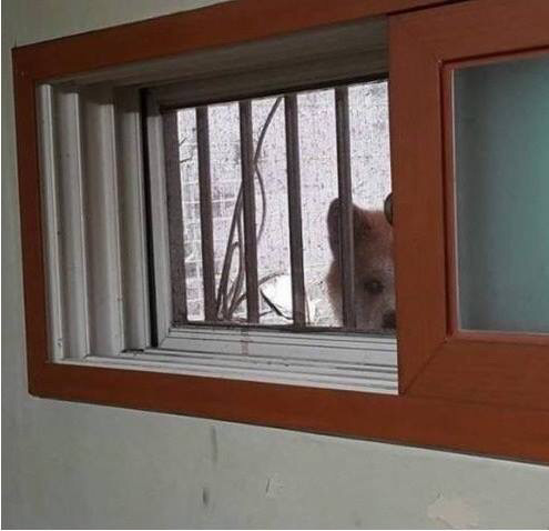 반지하사는데 어떤가 자꾸 쳐다보네요; | 인스티즈