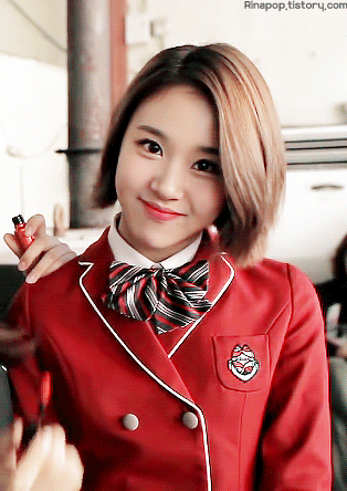 트와이스가 키우는 아기맹수 | 인스티즈