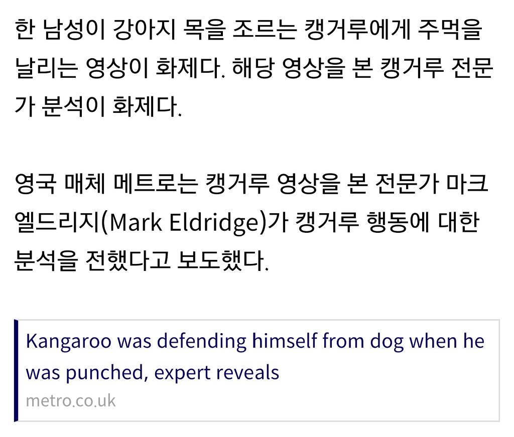 날 때린 남자는 니가 처음이야♡ | 인스티즈