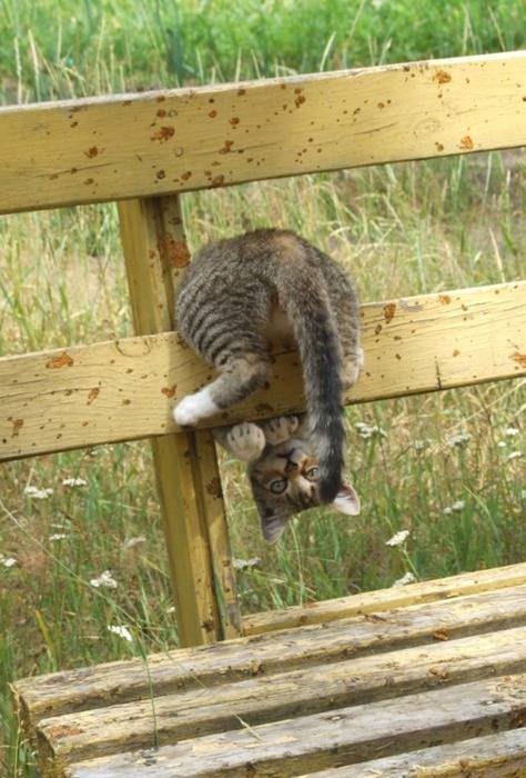 그러고 있으면 머리에 피 안쏠리냥 | 인스티즈