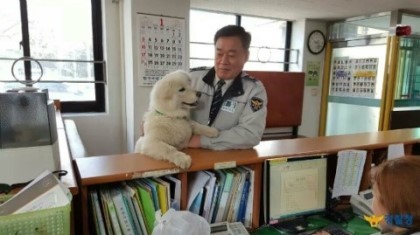 경찰서를 지키는 강아지.jpg | 인스티즈