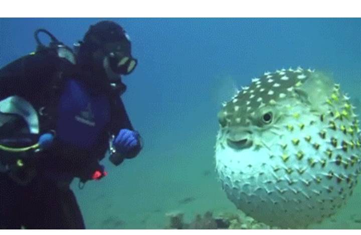 패닝맘이 누군지 찾아보았다 | 인스티즈