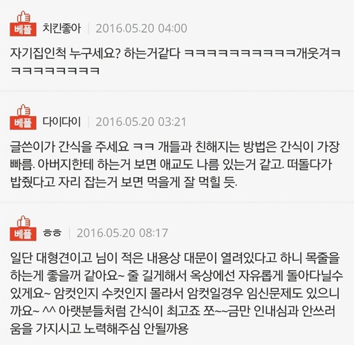 모르는 개가 우리집 개인척 해요 | 인스티즈