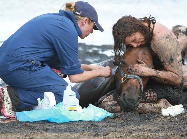 동물을 돕는 인간 | 인스티즈