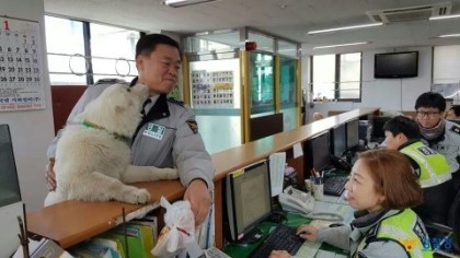 경찰서를 지키는 강아지.jpg | 인스티즈