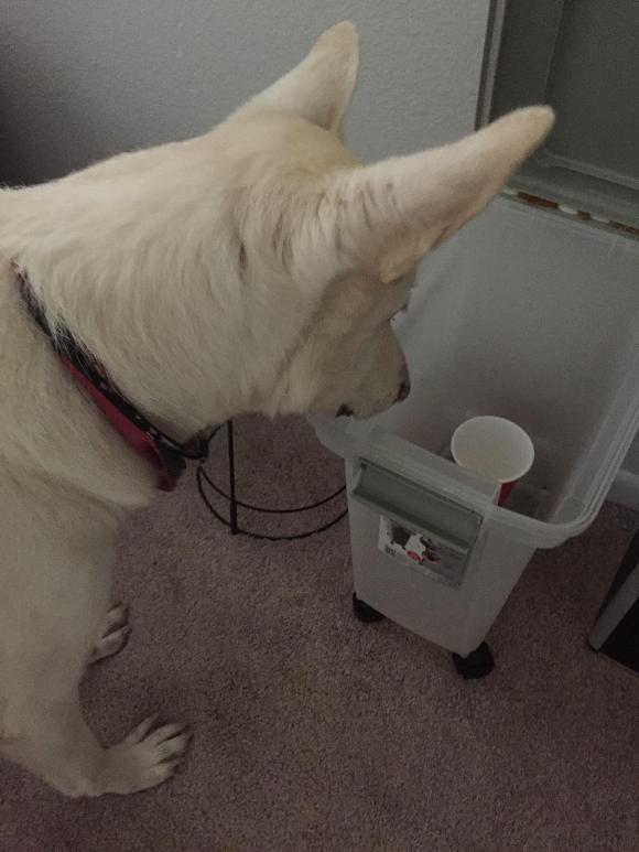 엄마가 잊지말고 사오라면서 보낸 사진 | 인스티즈