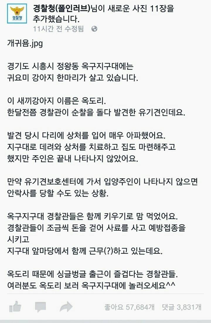경찰서를 지키는 강아지.jpg | 인스티즈