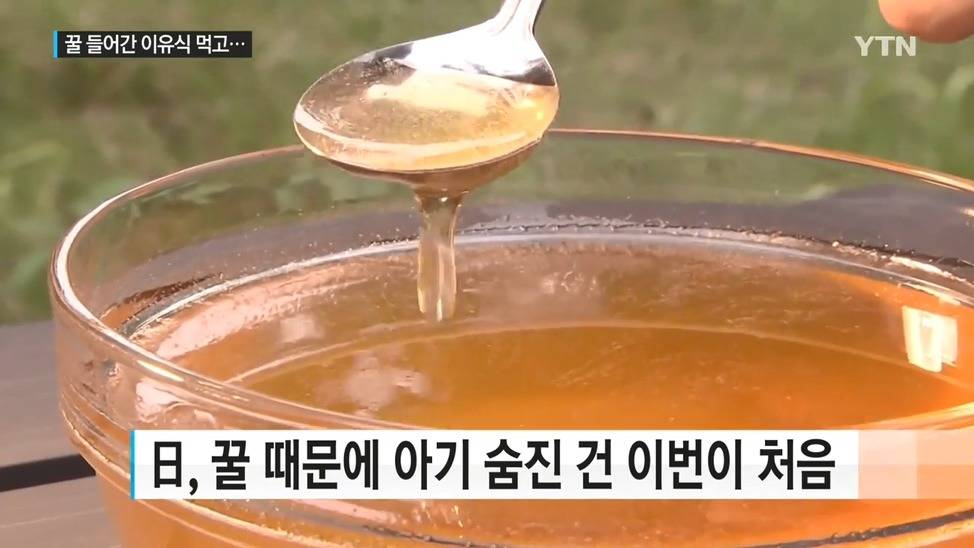 1살 미만 아이에겐 꿀을 절대 먹이면 안된다? | 인스티즈