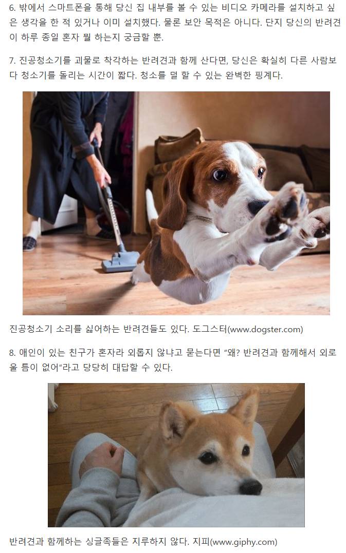 반려견을 키우는 싱글이라면 공감할 사실 11가지 | 인스티즈