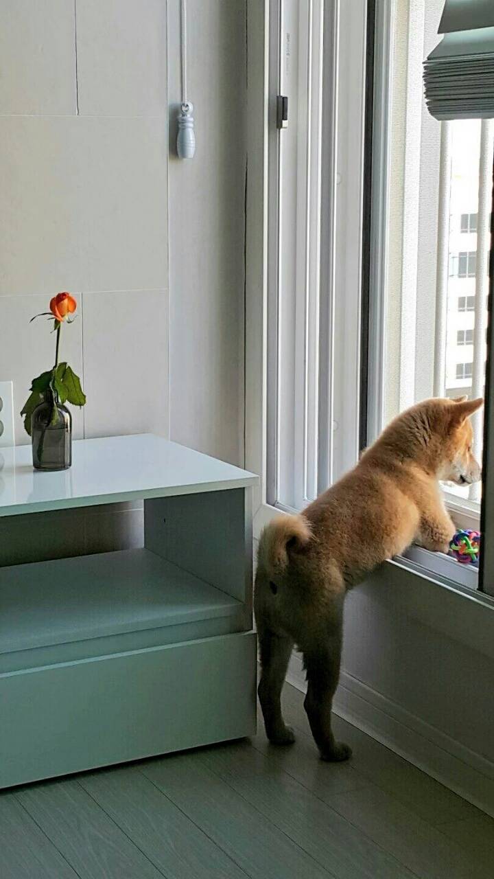 나만의 사색타임 | 인스티즈